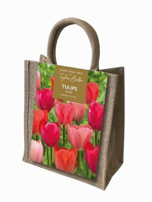 Darwin Tulip Jute Gift Bag