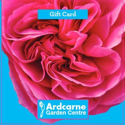 €100 Gift Voucher for Ardcarne Garden Centres and Café