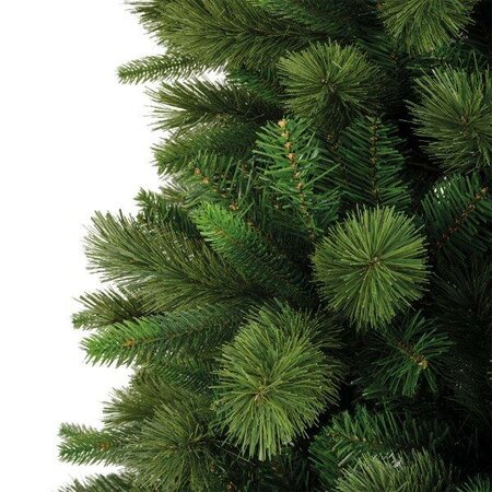 8ft Edmonton spruce tree - image 2