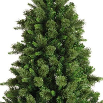 8ft Edmonton spruce tree - image 3