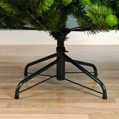 8ft Edmonton spruce tree - image 4