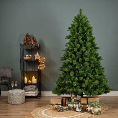 8ft Edmonton spruce tree - image 5