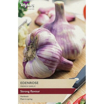 French Garlic 'Edenrose' - Image courtesy of Taylors Bulbs