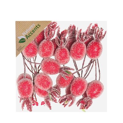 Frosted Rose Hips on Wire -Image courtesy of Hogewoning