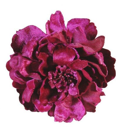 Fuchsia peony flower with clip