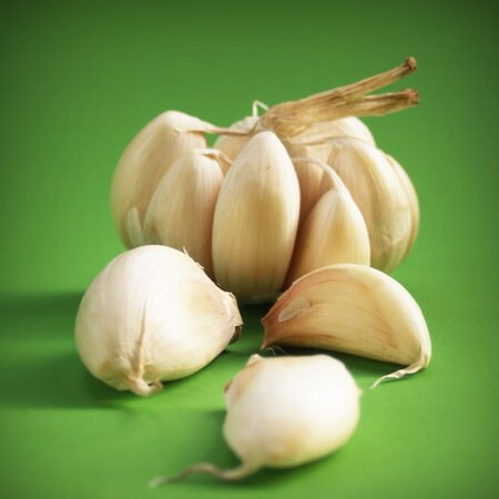 Garlic 'Elephant' - Image courtesy of pxhere