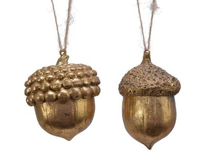 Golden acorn