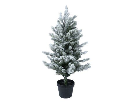 3ft Grandis mini snowy tree in pot