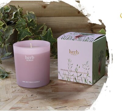 Herb Candle Rhubarb