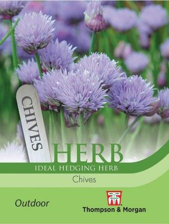 Herb Chives - image 1