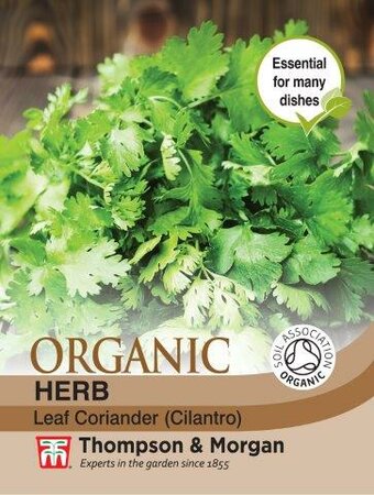 Herb Coriander Leaf Organic - image 1