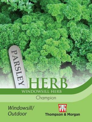 Herb Parsley Champion - image 1