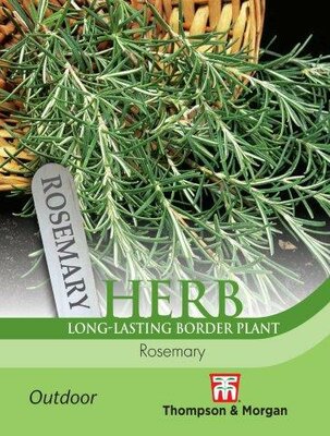 Herb Rosemary - image 1
