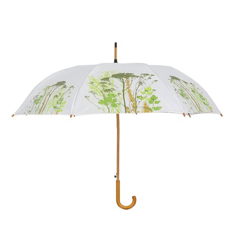 Herb Umbrella - image 1