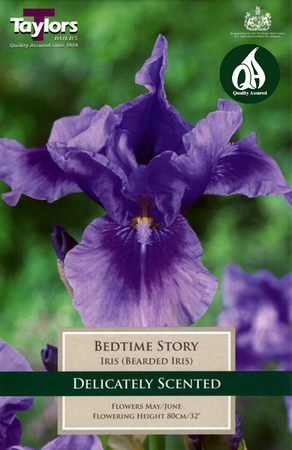 Iris Bedtime Story - Image courtesy of Taylors Bulbs