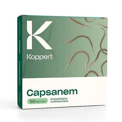 Leatherjacket Control 'Capsanem'