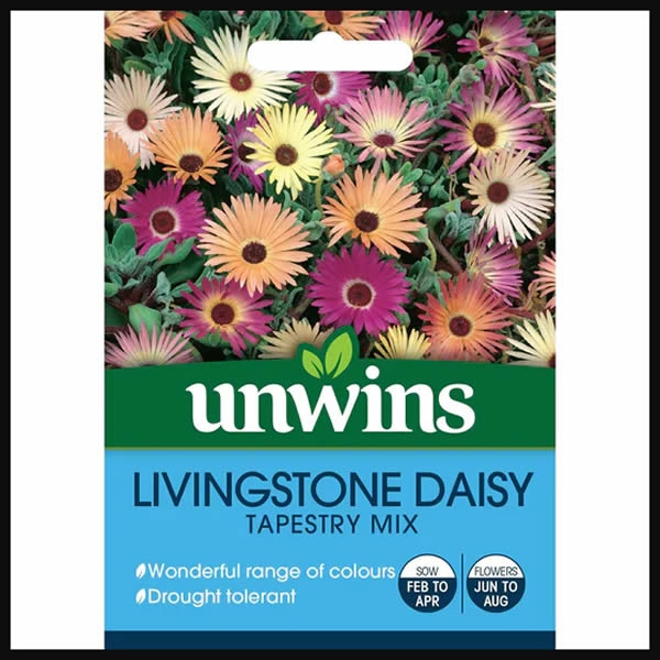 Livingstone Daisy Tapestry Mix Ardcarne Garden Centre Roscommon Boyle