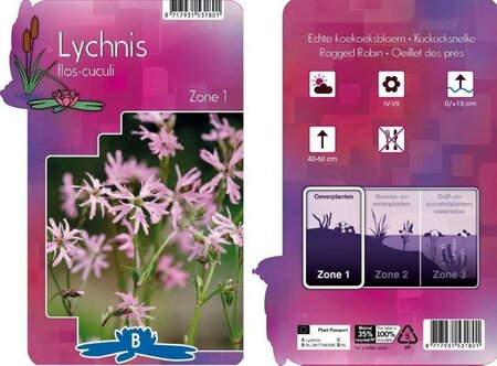 Lychnis flos-cuculi - Image courtesy of Pannebakker