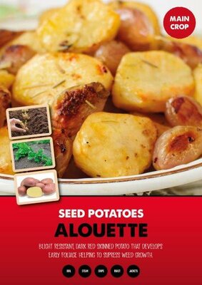 Potato 'Alouette' (2kg )