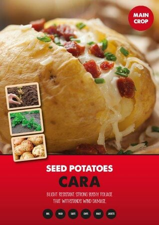 Potato 'Cara' (2kg )