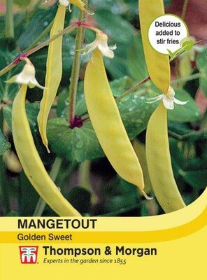 Mangetout Golden Sweet - image 1