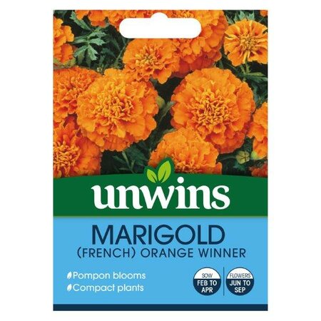 Marigold French Orange Winner (105)