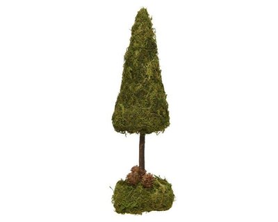 Moss mini tree