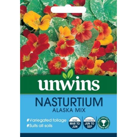 Nasturtium Alaska Mix