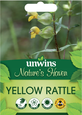 Yellow Rattle