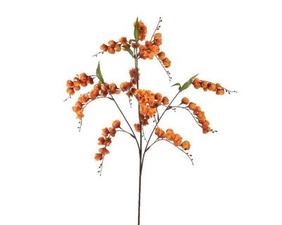 Orange lantern flower spray on stem