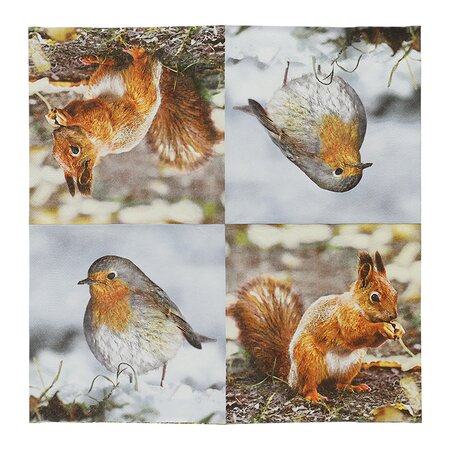 Paper Napkins 'Robin/Squirrel' - image 1