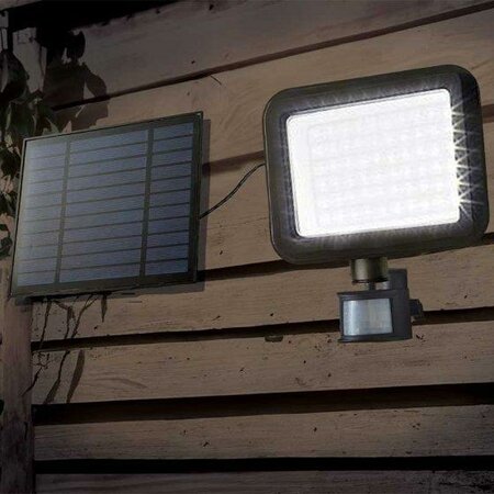 PIR Millennium Floodlight