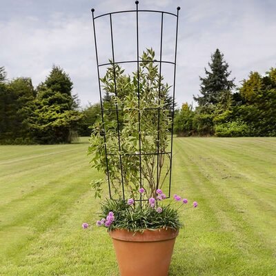 Pot & Planter Trellis -Image courtesy of Tom Chambers