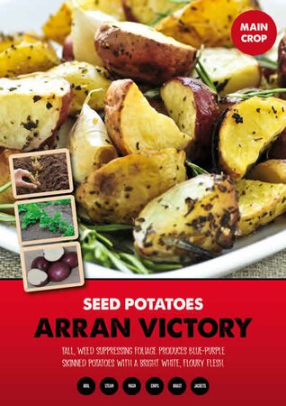 Potato Arran Victory - Image courtesy of Kapiteyn
