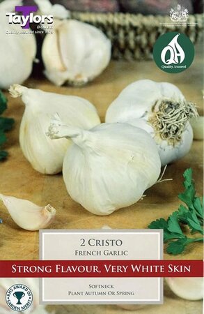 French Garlic 'Cristo' - Image courtesy of Taylors Bulbs