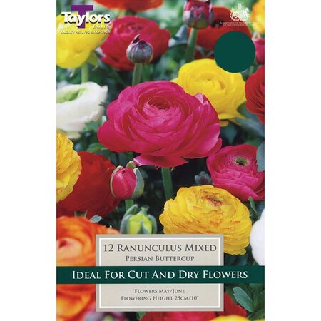 12 Ranunculus Mix -Image courtesy of Taylors Bulbs