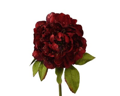 Red Peony with glitter on stem