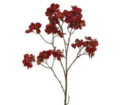 Red velvet dogwood flower with gold centre - image 1