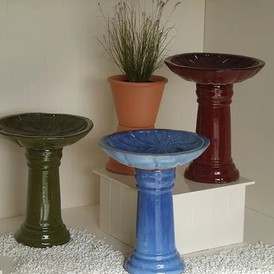 Round Shell Birdbath