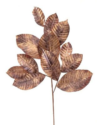 Image courtesy of Vetur