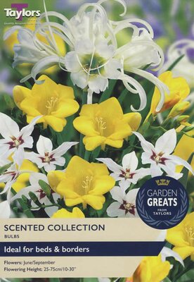 Scented Collection (50 bulbs)