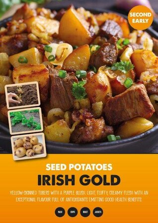 Potato 'Irish Gold' (2kg )