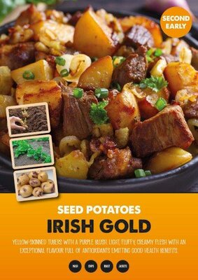 Potato 'Irish Gold' (2kg )