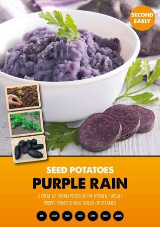 Potato 'Purple Rain' (2kg )