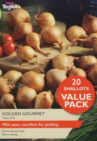 Shallot Value 'Golden Gourmet' (20 bulbs)