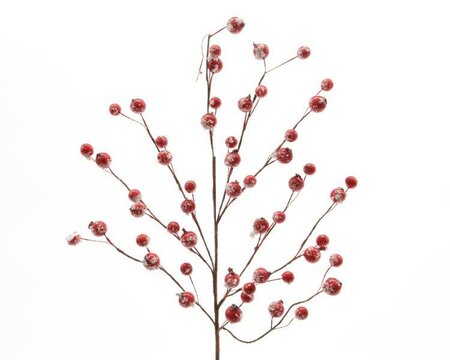 Spray with snowy red berries - image 1