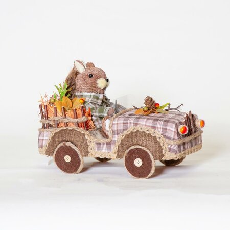 Squirrel in car (32x16x21cm)