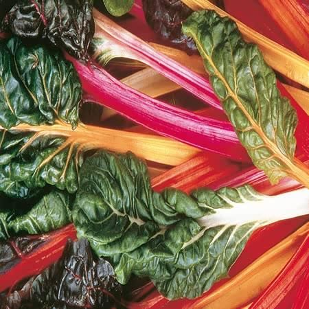 Swiss Chard Bright Lights - Ardcarne Garden Centre | Roscommon & Boyle