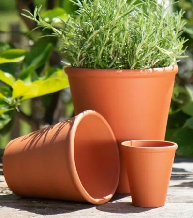 Terracotta Rose Pot - Image courtesy of Dunne & Dineen