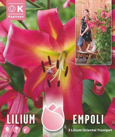 Tree Lilium Pack Empoli (3 bulbs)